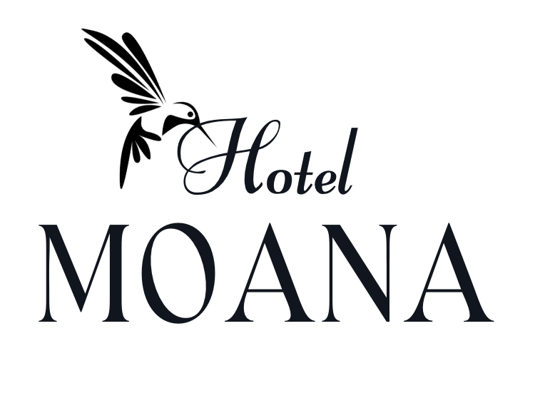 Hotel MOANA Oshima (English)