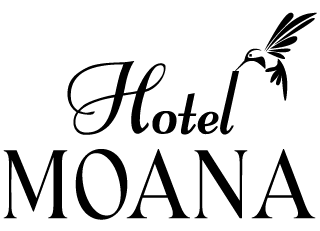 Hotel MOANA Oshima